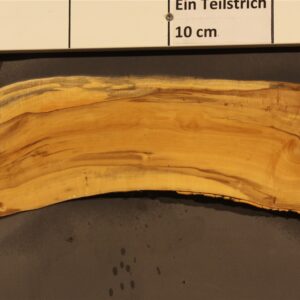 2023-08-29 15.22.38.jpg