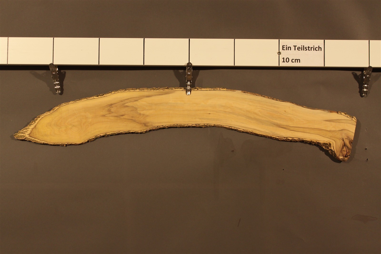 2023-08-29 14.45.15.jpg