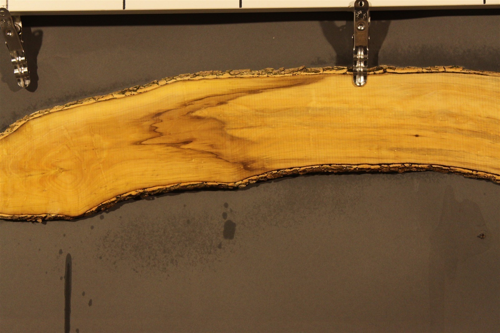 2023-08-29 14.47.18.jpg