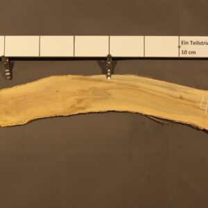 2023-08-29 15.04.49.jpg