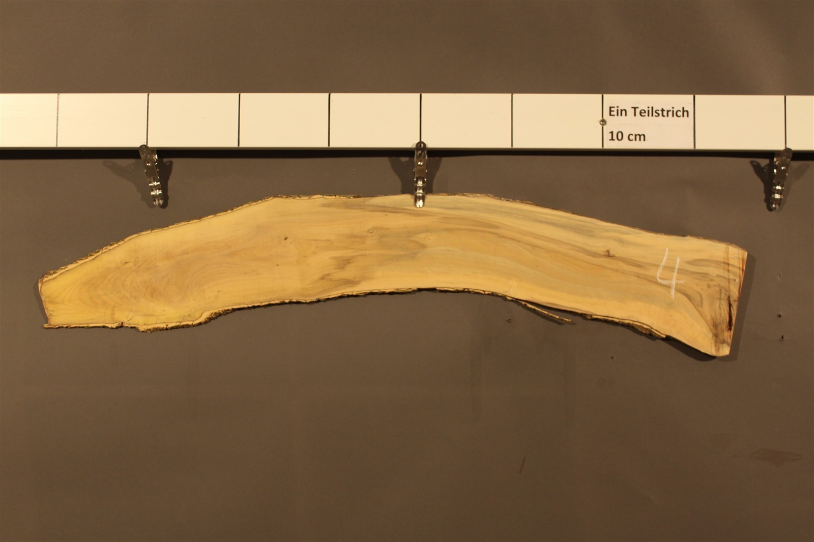 2023-08-29 15.04.49.jpg