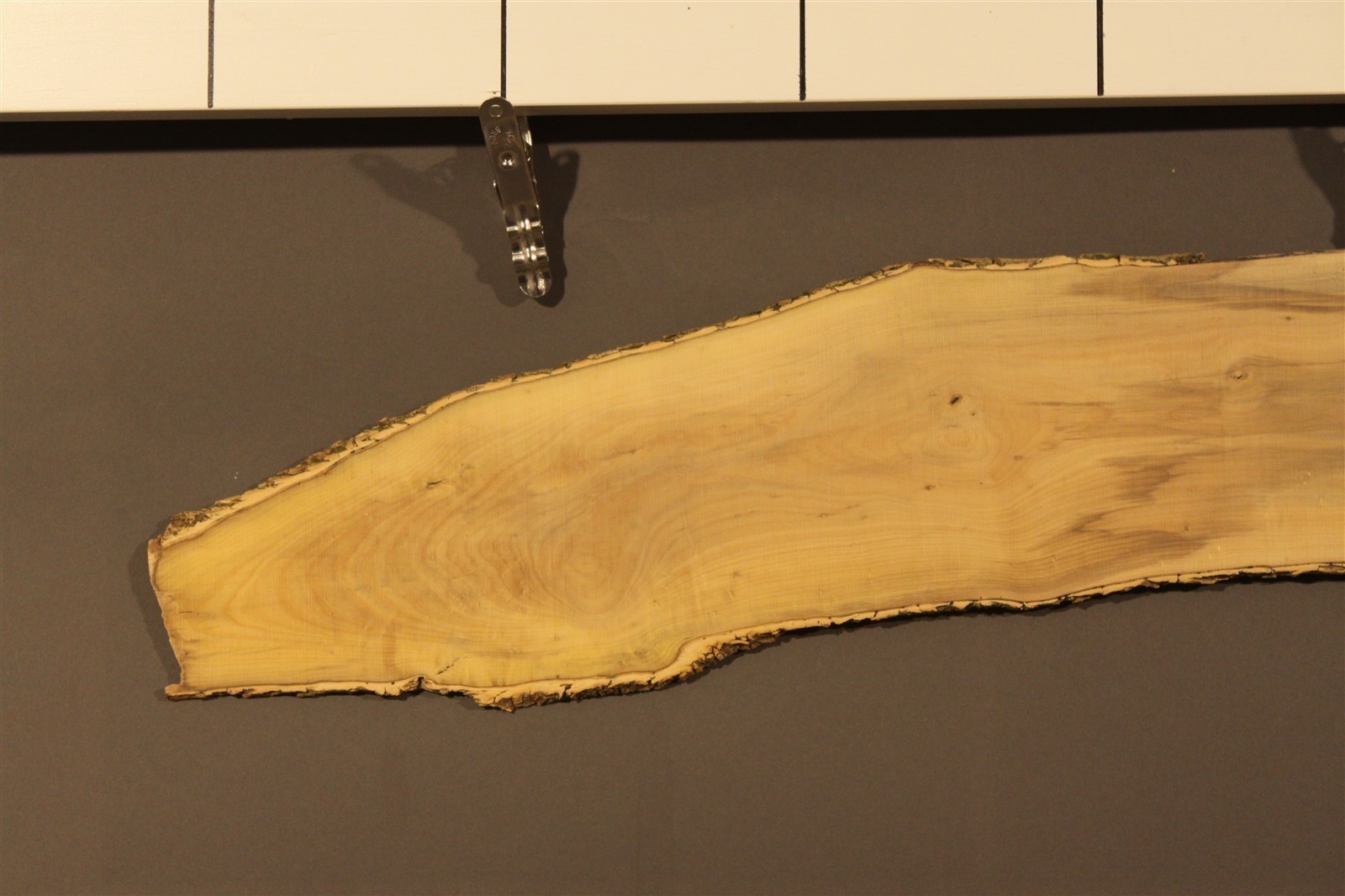 2023-08-29 15.05.02.jpg