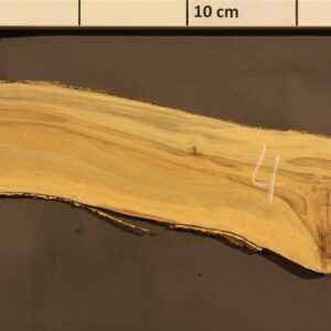 2023-08-29 15.05.09.jpg