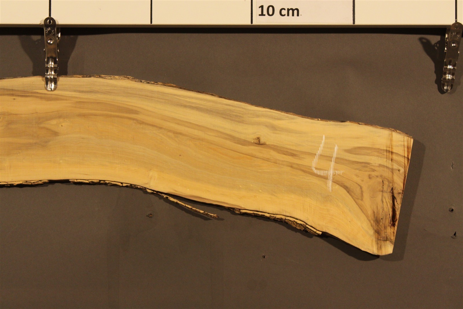 2023-08-29 15.05.09.jpg