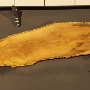 2023-08-29 15.05.21.jpg