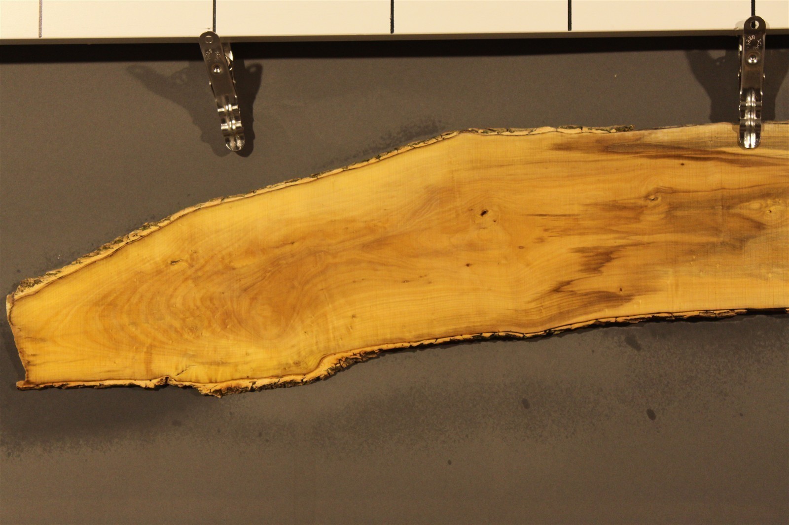 2023-08-29 15.05.21.jpg