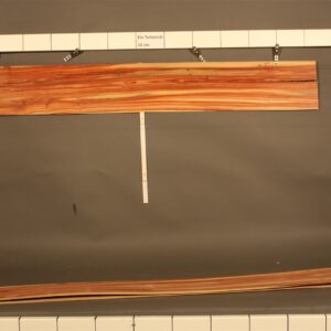 2022-12-13 18.10.21.jpg