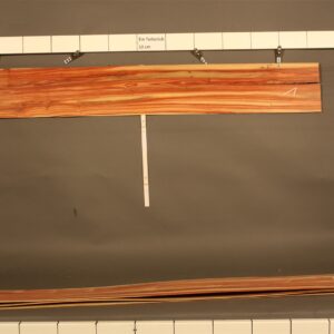 2022-12-13 18.11.12.jpg