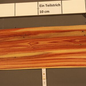 2022-12-13 18.11.39.jpg