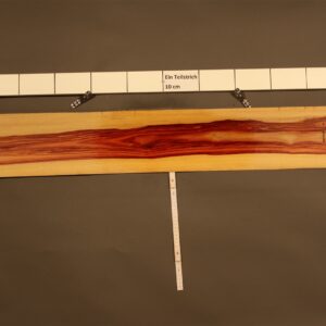 2022-12-13 18.14.53.jpg