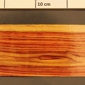 2022-12-13 16.34.49.jpg