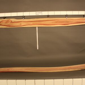 2022-12-13 17.28.26.jpg