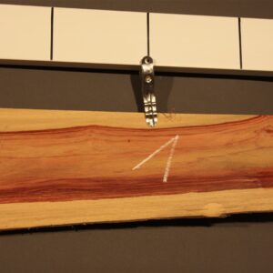 2022-12-13 17.29.26.jpg