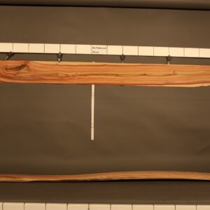 2022-12-13 17.34.10.jpg